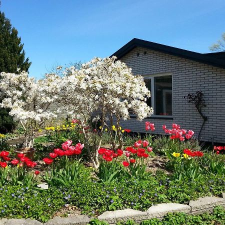 Mini-Apartment In The Flowerbed Søborg Buitenkant foto