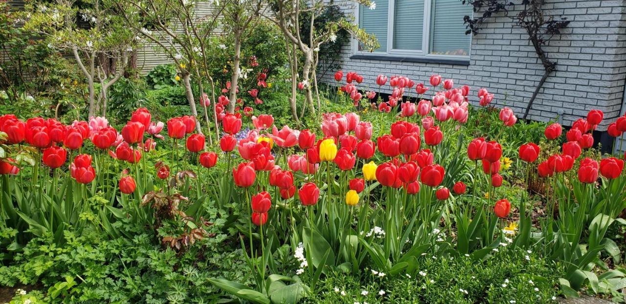 Mini-Apartment In The Flowerbed Søborg Buitenkant foto